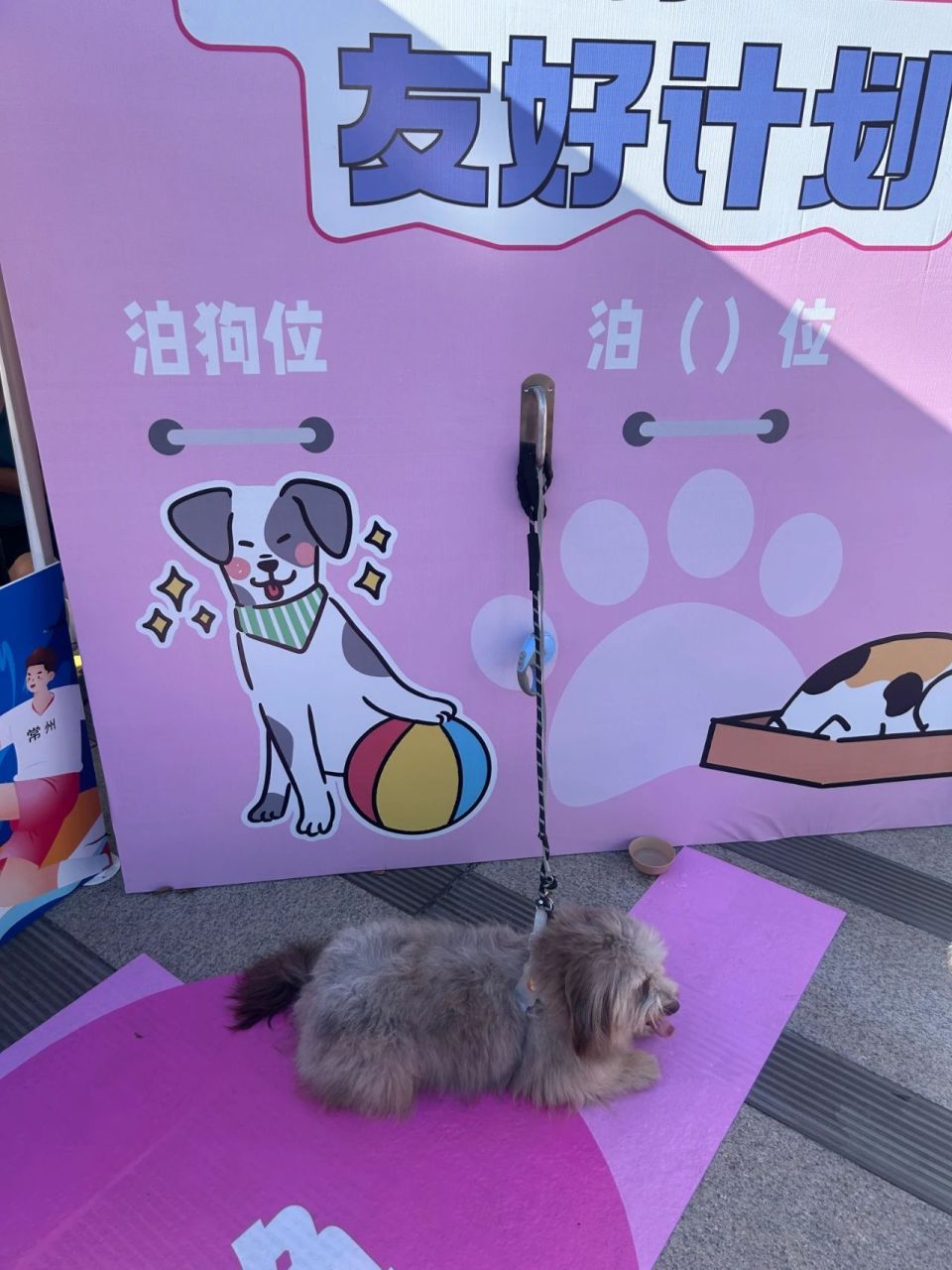 九轮, bt, JhgN