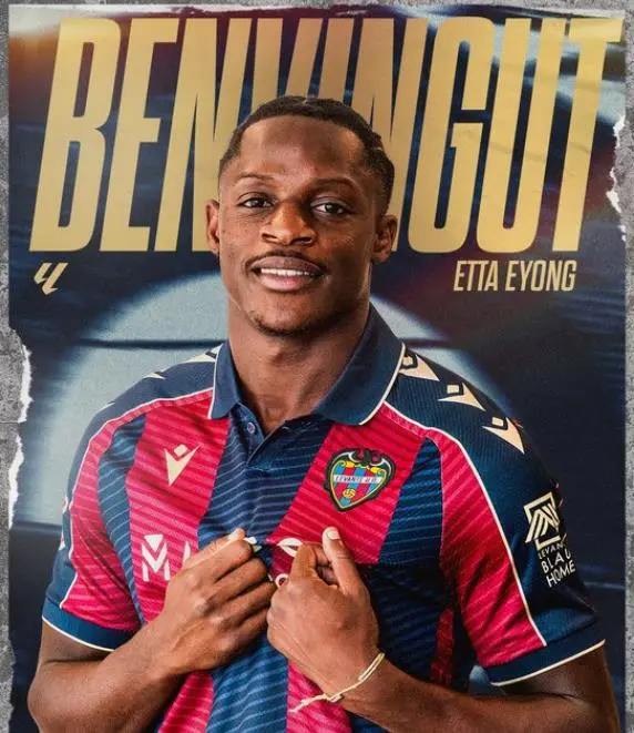 再加上违约, img 再加上违约, img